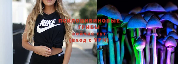 прущие грибы Алексеевка