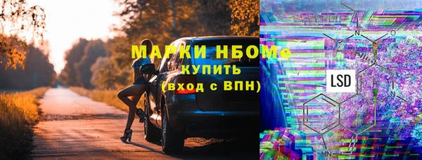 прущие грибы Алексеевка