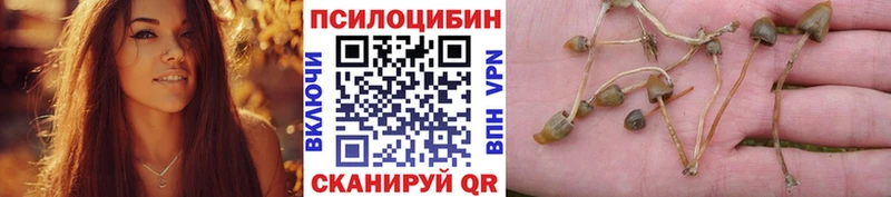 Псилоцибиновые грибы Magic Shrooms  Бикин 